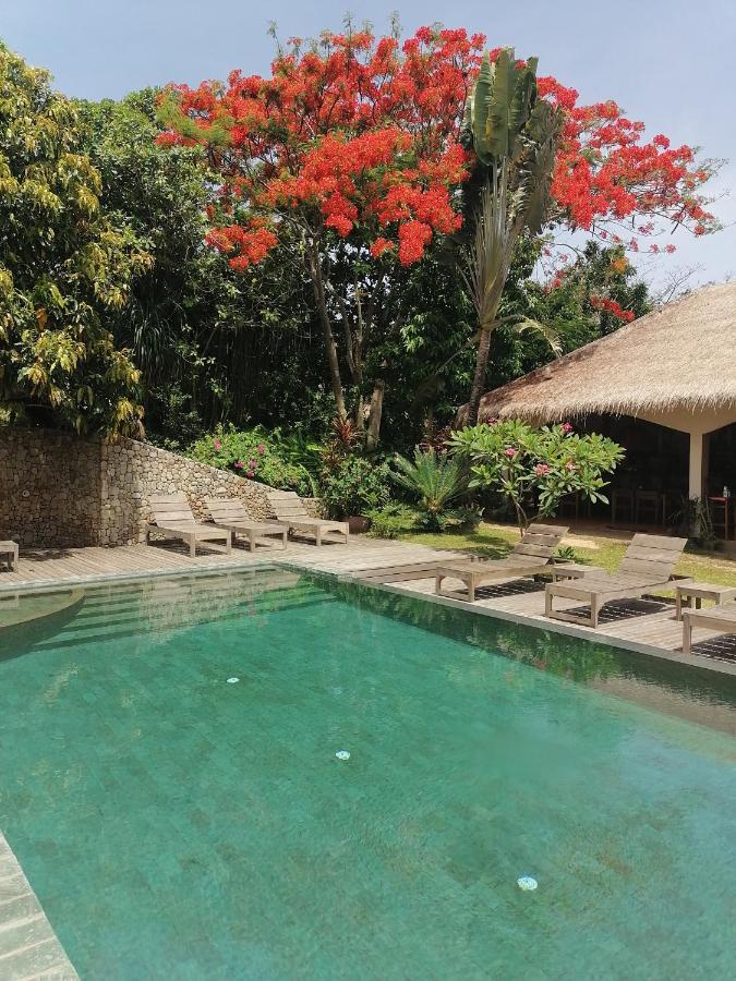 Hotel Botanica Kep Exterior foto