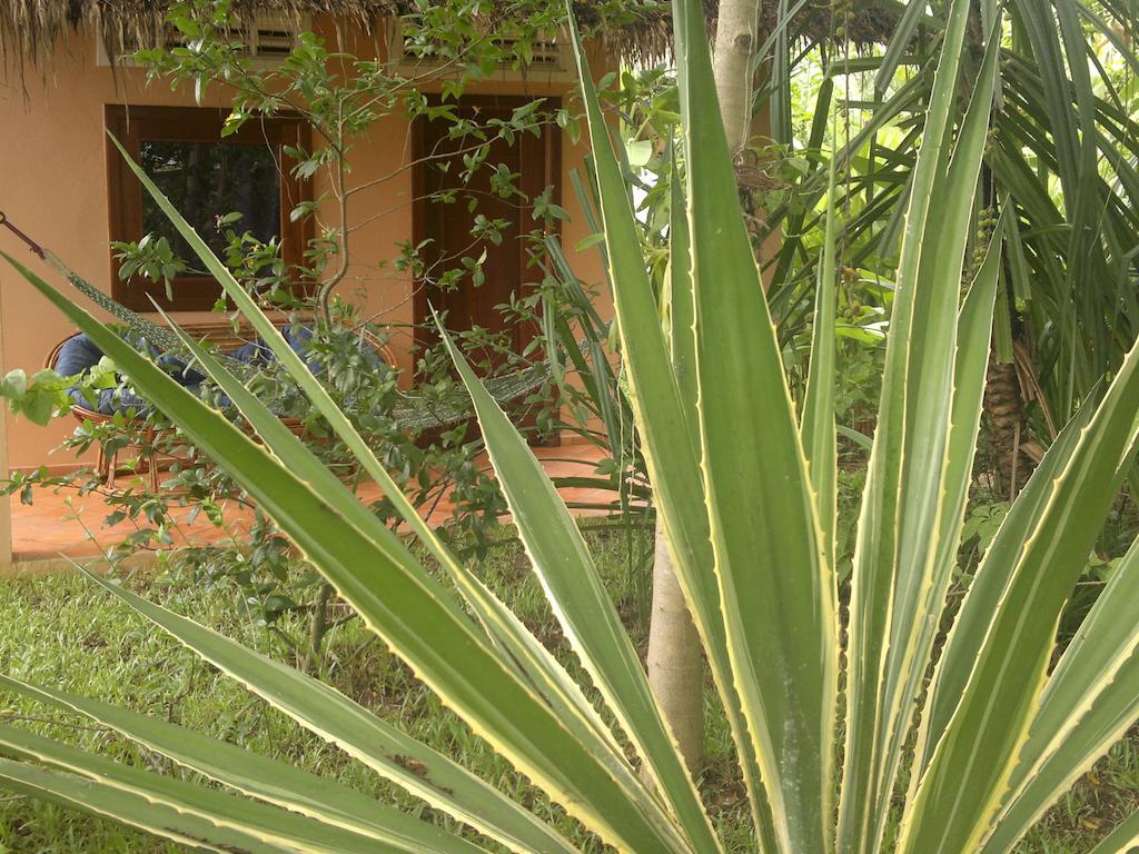Hotel Botanica Kep Exterior foto